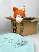 crochet cat in a box