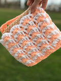 Shell and Twisted Crochet Stitches